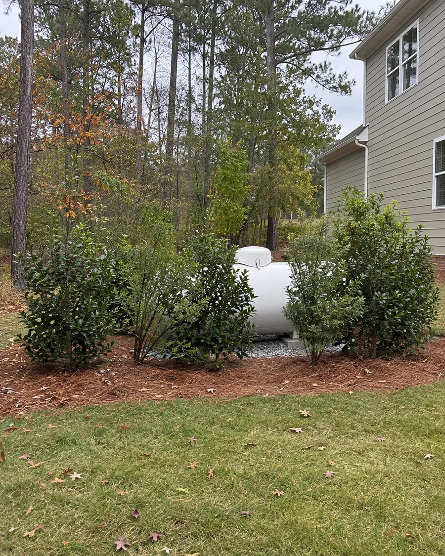 A white above-ground propane tank on a gravel pad in a back yard, partly hidden behind a row of evergreen shrubs, with a house and pine trees behind it